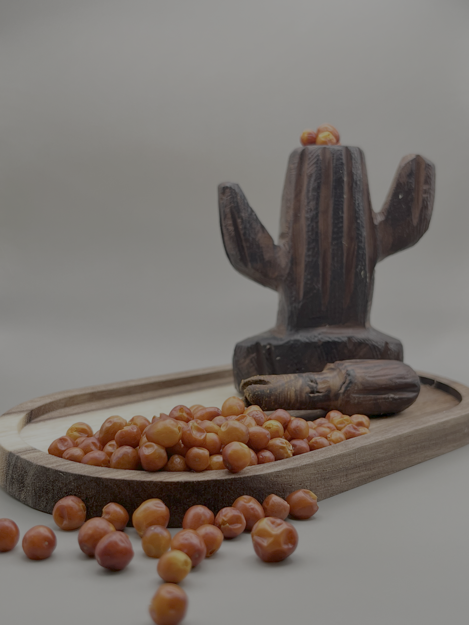 Chiltepín en el desierto