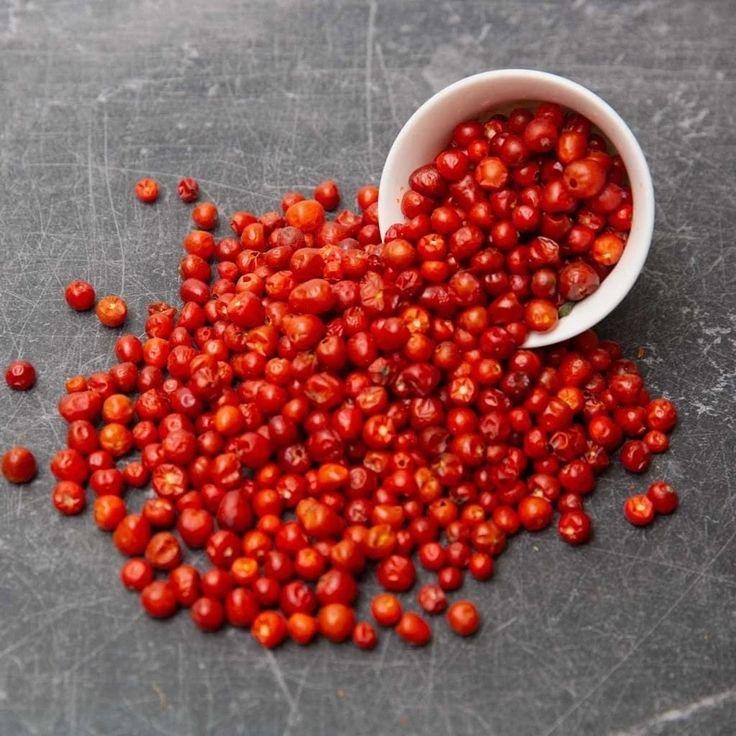 Chiltepín en el desierto